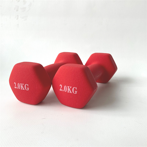 ASG Neoprene Håndvægte 2x2 kg i rød